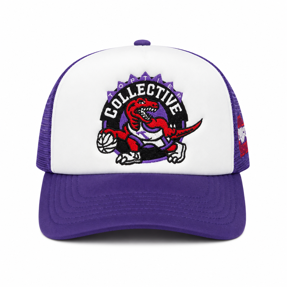 Top Tier Raptors Hat